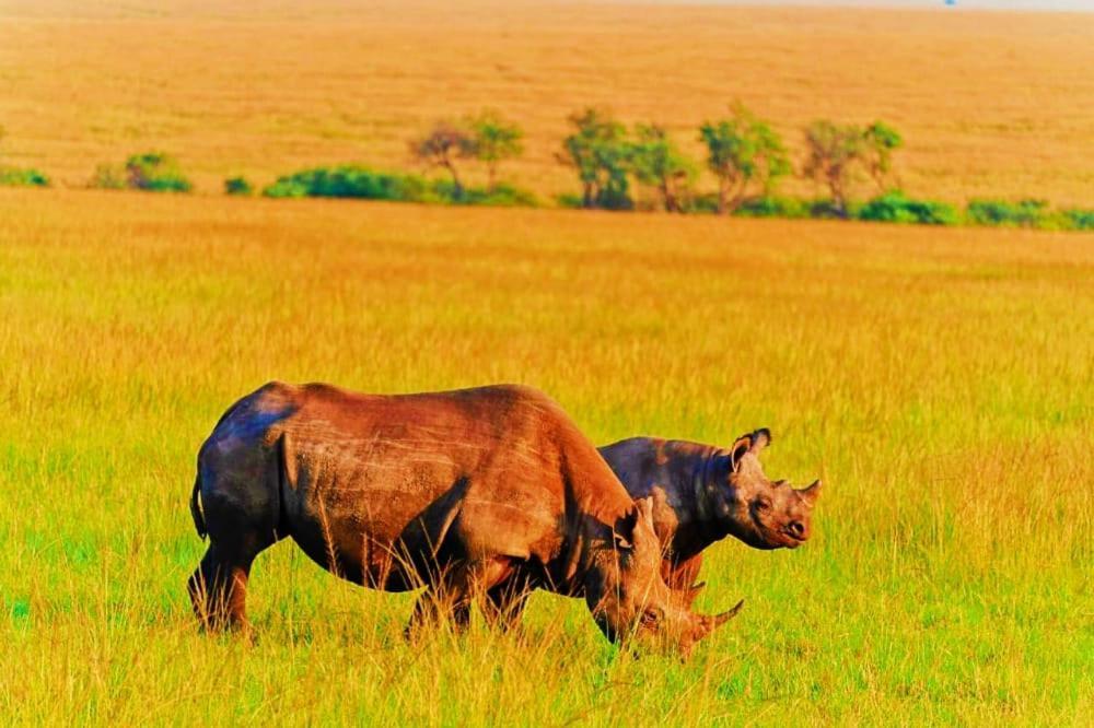 Bed and Breakfast Semadep Safari Camp Sekenani Exteriér fotografie