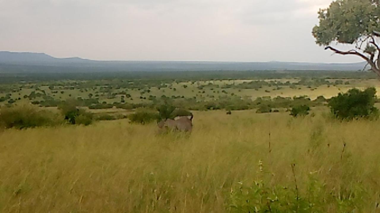 Bed and Breakfast Semadep Safari Camp Sekenani Exteriér fotografie